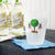 Frosted Cups - Patriotic Topiary Cups