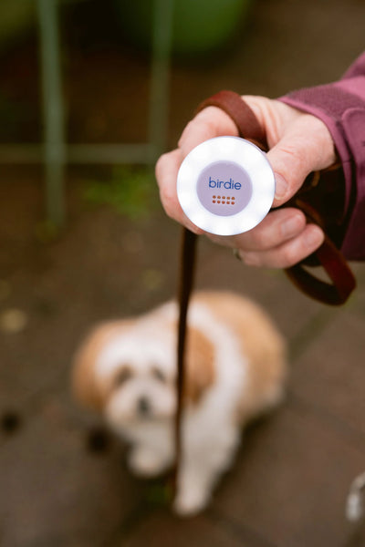 She's Birdie - The Original Personal Safety Alarm Disc