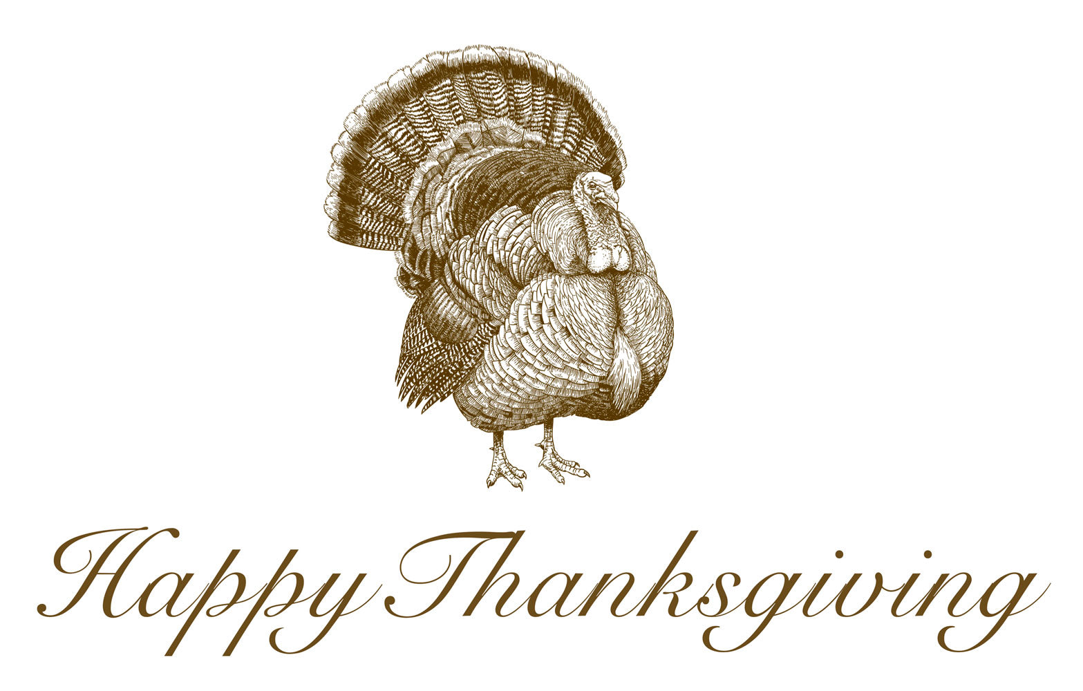 Insert - Thanksgiving Turkey